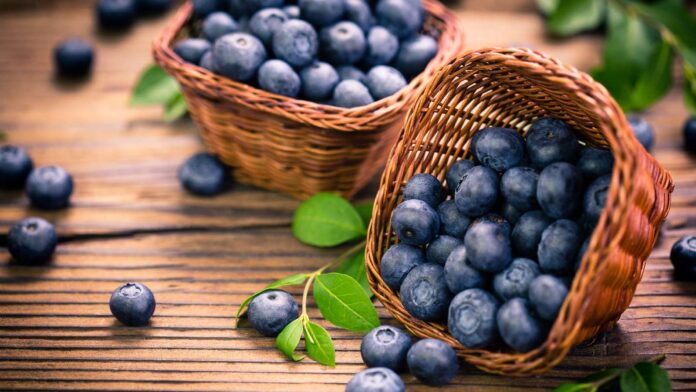 8 benefits of blueberries for skin you can’t miss