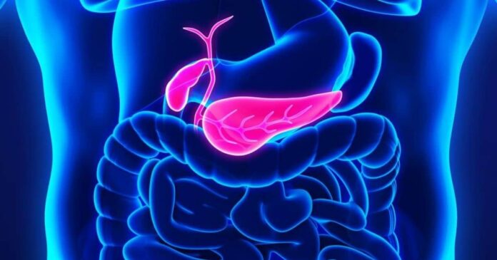 Can a Pancreas Transplant Cure Your Diabetes?