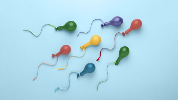 What Is the Male Orgasm?
